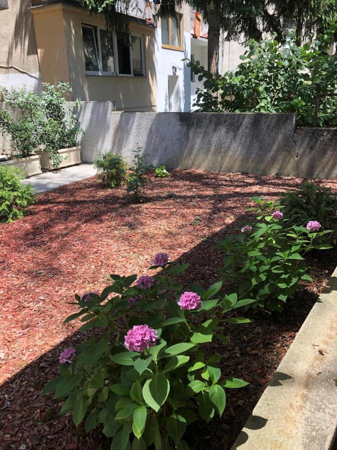 Rakuscha Apartment Ζάγκρεμπ Εξωτερικό φωτογραφία